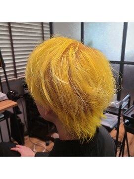 ディト(Ditto) ☆