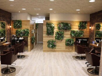 hair make Dita【ディータ】