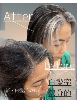 レディアル 大宮(REDEAL ope.) 白髪ぼかしハイライト