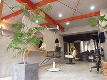 クルミ(kurumi)