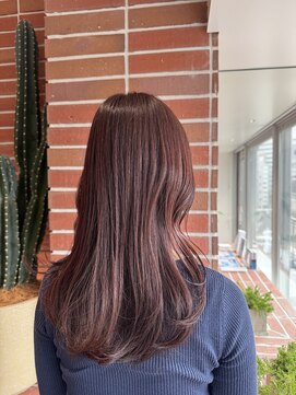 ルームヒゴバシ(room higobashi) 大人気！ヴィンテージレッド◎