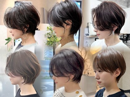 セラ(cella)の写真