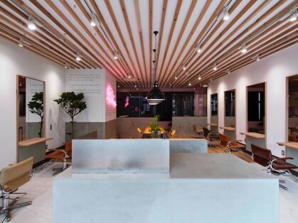 ディーナ(D'na)の写真