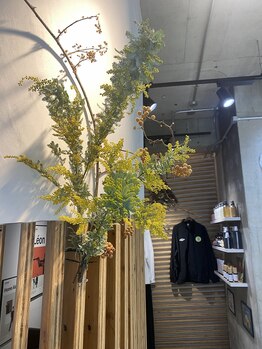 タソ(taso)の写真/駅前徒歩2分　和モダンスタイルサロン