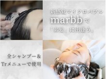 エルビオ トウキョウ 浦和店(Lbio Tokyo)の雰囲気（髪質改善の効果を高めるマイクロバブル/頭浸浴/ヘッドスパ/ボブ）