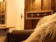 スノードロップ(SNOW DROP)の写真/《半個室×女性スタイリスト》半個室のプライベート空間。周りを気にせず自分だけの贅沢なひとときを。