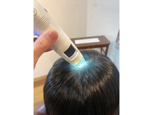 ヴィリッシュ(VieRiche)