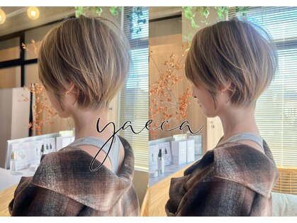 ヤエカ(yaeca)の写真