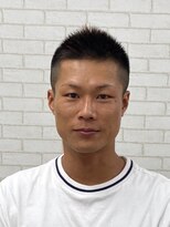 ルピナス(Lupinus)&nbsp;ソフトモヒカン