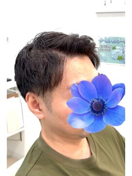 シルク(Silk) ツーブロック