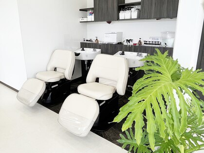 レナータ(Renata)の写真