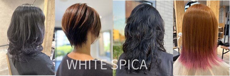 ホワイトスピカ(WHITE SPICA)のサロンヘッダー