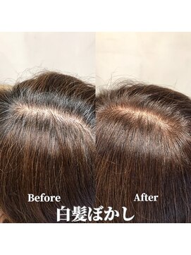 ヘアープレゴ(hair Prego) 白髪ぼかしBefore&After