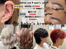 ベイビーズブレス(Baby's breath)