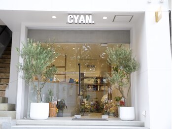 CYAN.矢場町店　パーマ／縮毛矯正／髪質改善