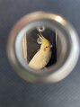 ミヤコウシティ美容室 お迎えしました^^