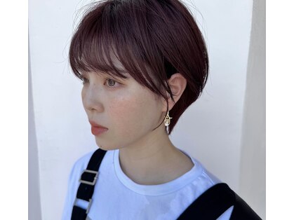 ヤエ(yae)の写真