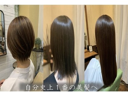 コンクリート ジャングルの写真