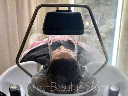 アリエス(Aries)の写真