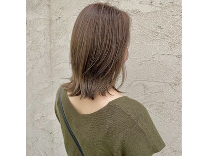 タビー(tabby)の写真