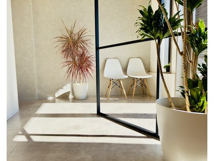 サク(sak.)の写真