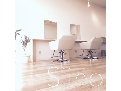 シイノ(Siino)の写真