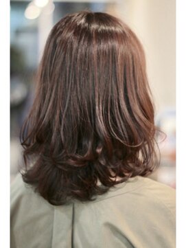 ハロ 蕨(HALO) ミディアム