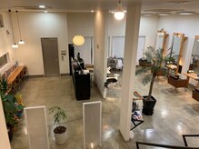 オゾニコヴィアーレ(OZONICO viale)の雰囲気（細かいお悩みなどもお気軽に！店内は広く開放的な空間です！）