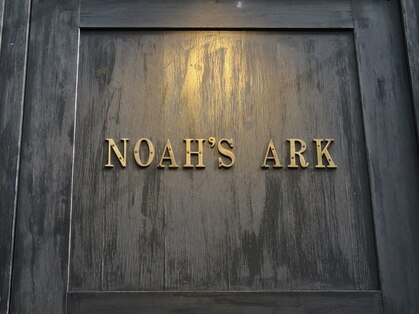 ノアーズアーク(NOAH'S ARK)の写真