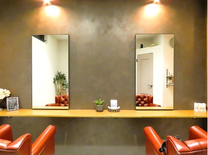 ラダー(LADDER)の写真