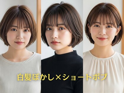 ヴィスコ(visco)の写真