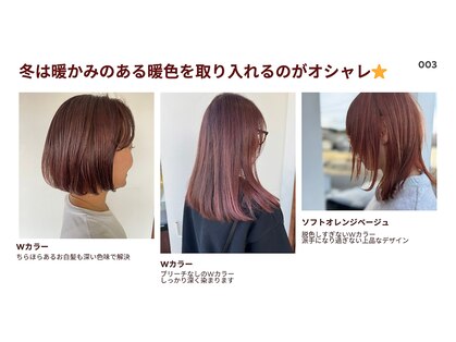 ロッティ(lotti)の写真