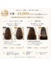 【~10,000円クーポン↓↓↓】