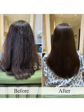 カミケンネクスト(kamiken.next) イメチェン美髪ストレート大人上品ツヤ髪【カミケンネクスト】