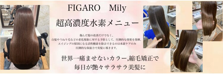 フィガロ ミリー 北生駒店(Figaro Mily)のサロンヘッダー