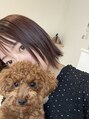 ベリテ 津田沼駅前店(verite) 愛犬と2人で暮らしています♪動物が大好き♪[津田沼/新津田沼