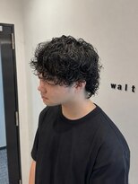 ウォルト(walt)&nbsp;動きの出るプードルウルフ