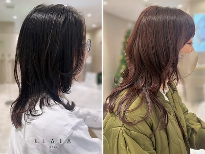 クララジャパン セタ(CLALA JAPAN Seta)の写真