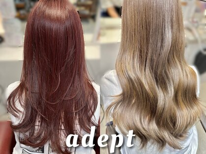 アデプト 金町店(adept)の写真