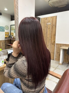 ノーム 横浜(NORM) ボルドーカラー