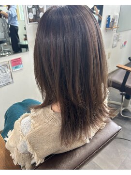 エルパライソ リフォ(Elparaiso Reff) アッシュブラウン