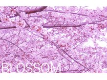 ブロッサム　【イルミナカラー】