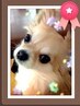 カラーカット☆桐山指名