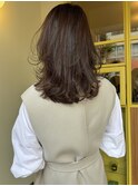 〈浅草 半個室〉スウィングレイヤー/シアーベージュ