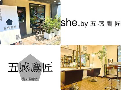 五感鷹匠 髪の診療所の写真