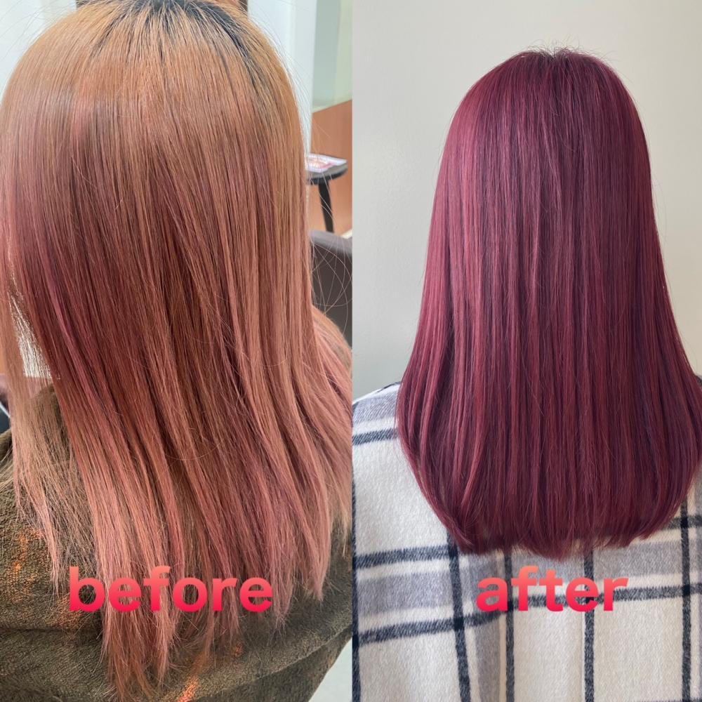 ダブルカラー レッドバイオレット：L175456574｜ラ シェンテ エイジア