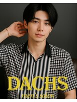 ダックス(DACHS)&nbsp;センターパート