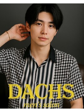ダックス(DACHS) センターパート