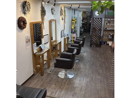 アジュガヘア(ajuga hair)の写真