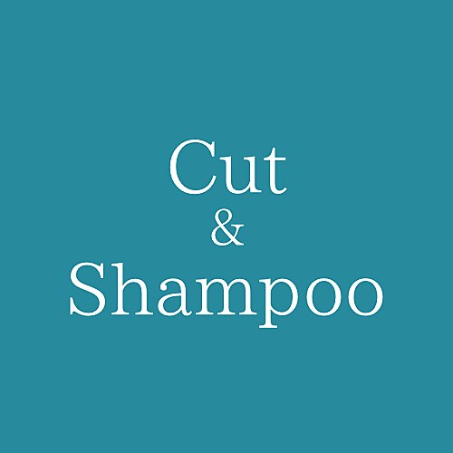 【メンズ選択No.1】カット＋ケアシャンプー6600円